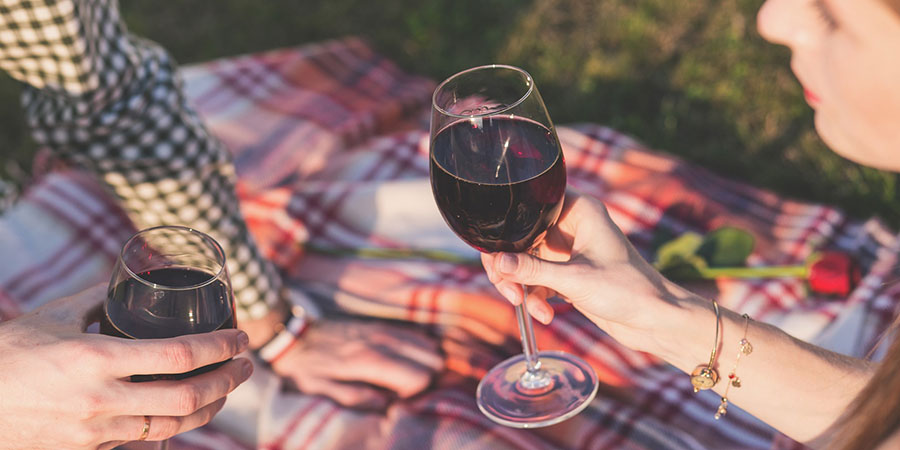 two people having a picnic at the park, holding a glass of wine